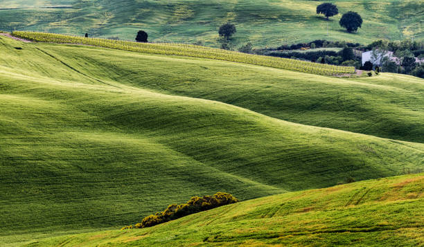 istock Sunny landscape from Val d'Orcia, Tuscany, Italy 1149122455