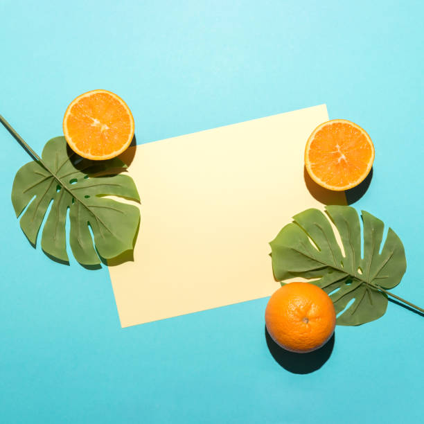 istock Tropical palm leaf with sliced orange on bright blue background. Minimal summer composition. Flat lay. 1149122467