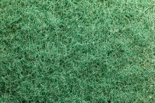istock Macro picture of a green scrub sponge 1149125549