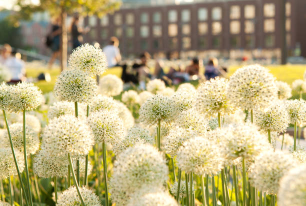 istock summer city park 1149125795