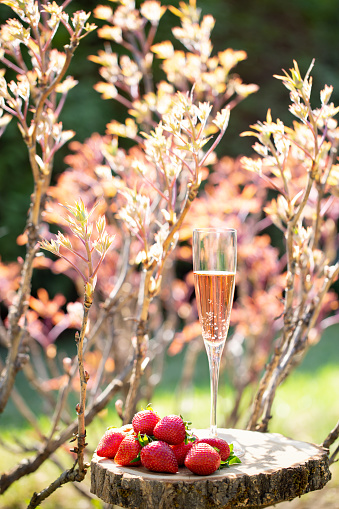 Glass of sparking rose beverage and strawberry on peony tree background