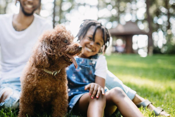 istock Family Playing In Park With Dog 1149138079