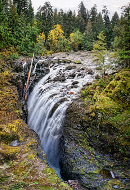 istock Englishman river waterfalls 1149141417