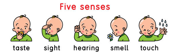 набор значков пяти чувств. иллюстрация для мальчиков - snorting stock illustrations