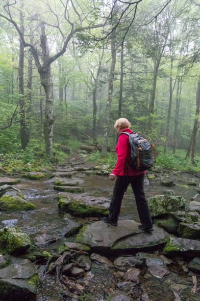 Wandern im Shenandoah Nationalpark – Foto