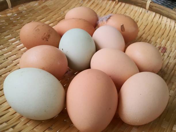 istock Organic eggs from Chicken home farm - Organic eggs in bamboo tray 1149151819