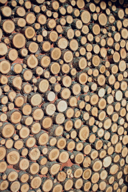 istock Large circular piece of wood cross section with tree ring texture pattern and cracks. Orange and black circular dark pattern. 1149152975