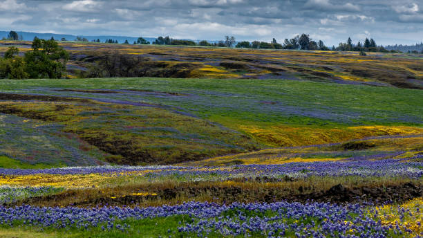 istock North Table mountain colorful landscape 1149154596