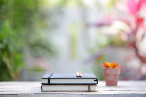 istock Diary notebook with pens and small plant pot on wooden table 1149157820