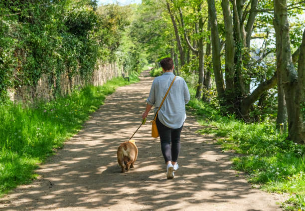 istock Woman Walking her Dog on a Nice Sunny Day 1149157901