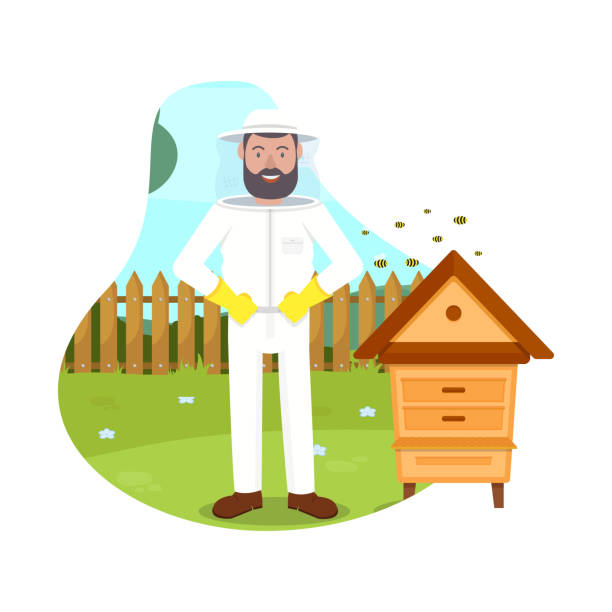 Bees Fly near Beekeeper. Beehive in Apiary. Vector Protective Suit. Beemaster at Spiary. Breed Bees. Bees Flying near Hive. Beekeeper Costume. Beehive in Apiary. Apiary on White Background. Vector Illustration. Hobby Beekeeping. Man in Protection Mask hiver stock illustrations