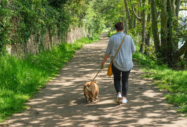 istock Woman Walking her Dog on a Nice Sunny Day 1149158063