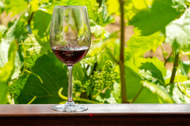 istock Wine, glass, red, outdoors. 1149160065