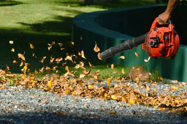 istock Man Blowing Leaves Along a Path in a Park 1149164099