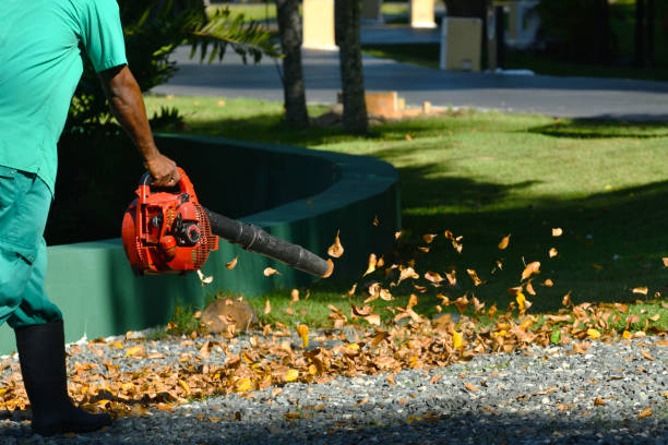 Close-up of a chipper shredder vac on fall foliage autumn leaves landscaping background household chore lifestyle occupation backdrop