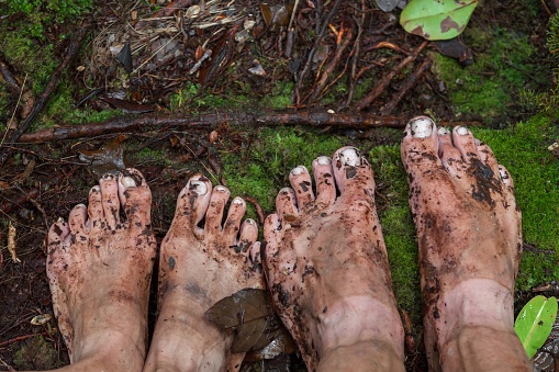 Dirty feet on moss in jungle. Walking in the tropical rain forest barefoot. Version 2.