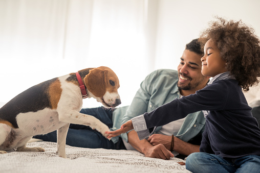 Portrait of an african american father and daughter enjoying spending time with dog in the bed.