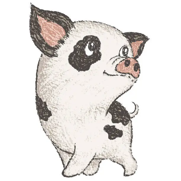 Vector illustration of Spotted pig walking