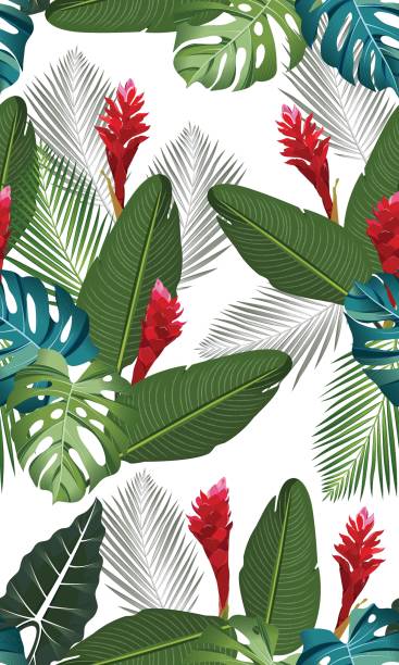 illustrazioni stock, clip art, cartoni animati e icone di tendenza di foglie tropicali dal motivo senza cuciture con fiore di zenzero su sfondo bianco - ginger tropical flower flower plant