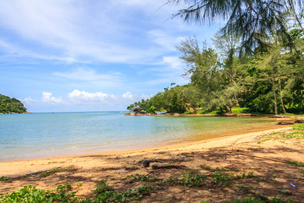 istock Beautiful sunny day at Nai Yang beach 1149175299
