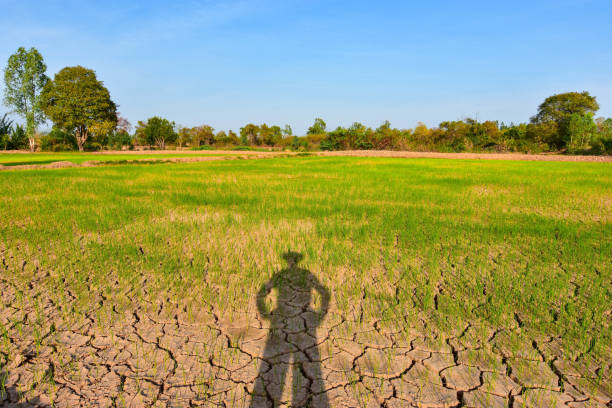 istock Global warming, changes in the atmosphere Green house effect Drought, cracked land in Southeast Asia 1149180847