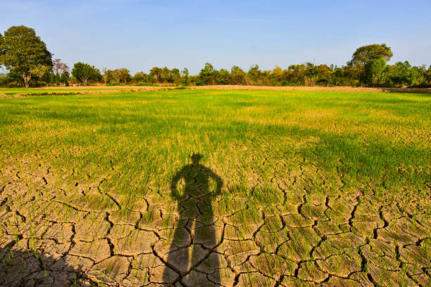 istock Global warming, changes in the atmosphere Green house effect Drought, cracked land in Southeast Asia 1149180848