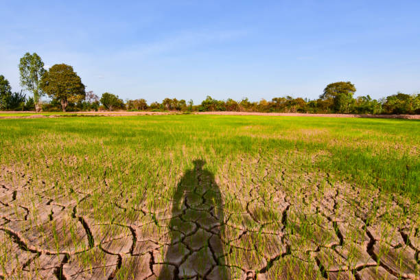 istock Global warming, changes in the atmosphere Green house effect Drought, cracked land in Southeast Asia 1149180852