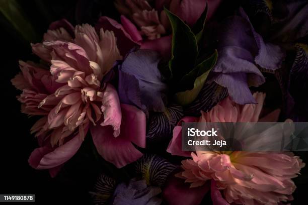 Darktoned Photo Of Bouquet Stock Photo - Download Image Now - Flower, Abstract, Dark