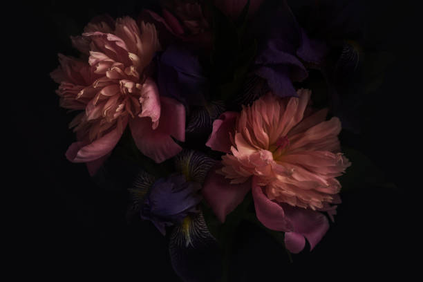 темно-тонированное фото букета - bouquet flower bunch individuality стоковые фото и изображения