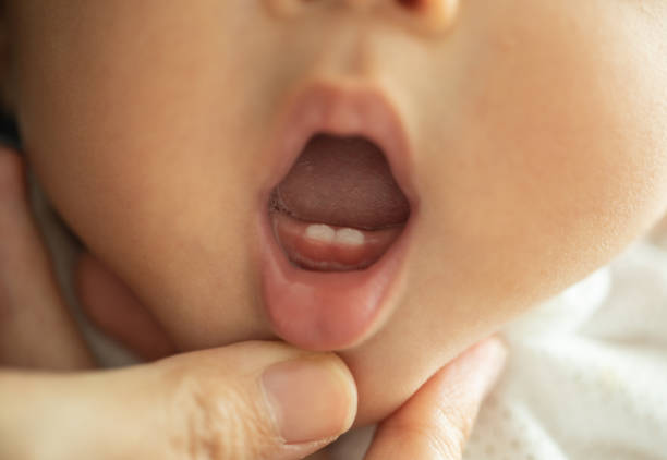 The first two teeth of the infant that the parent must help to keep the mouth clean. The first two teeth of the baby that the parent must help to keep the mouth clean. baby teeth stock pictures, royalty-free photos & images