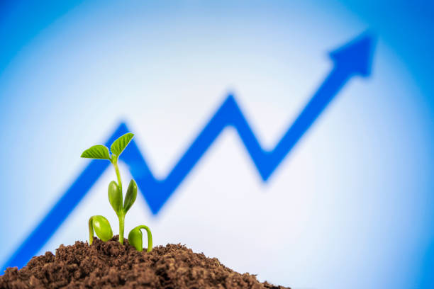 istock bussiness growth sequence:new life growing in spring 1149188082