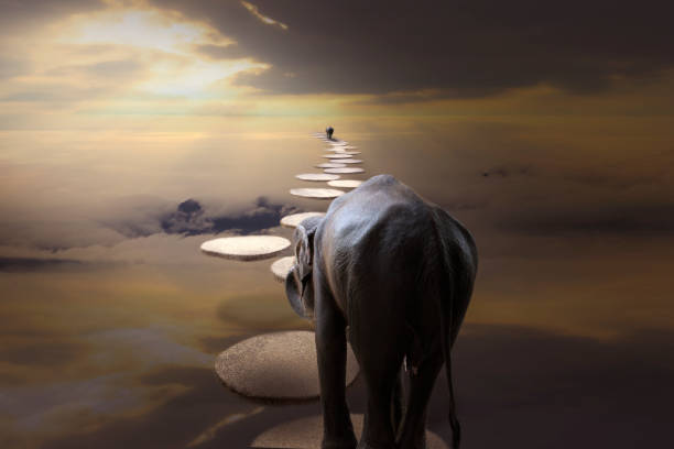 istock Start business success concept : Elephant walk cross over the clouds 1149188548