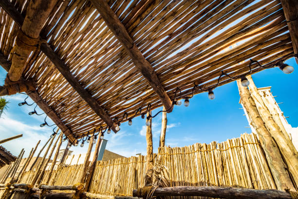 istock A canopy of reeds 1149189418