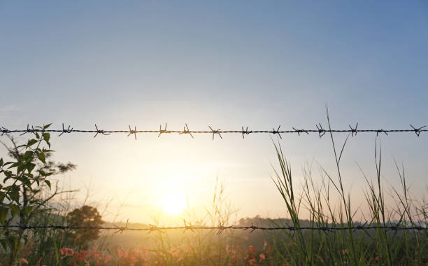 istock Sunset over fields with barbed wire fences 1149192886