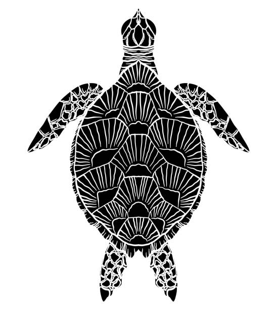 ilustrações de stock, clip art, desenhos animados e ícones de black and white silhouette of a sea turtle top view. the object is separate from the background. vector element - animals and pets isolated objects sea life