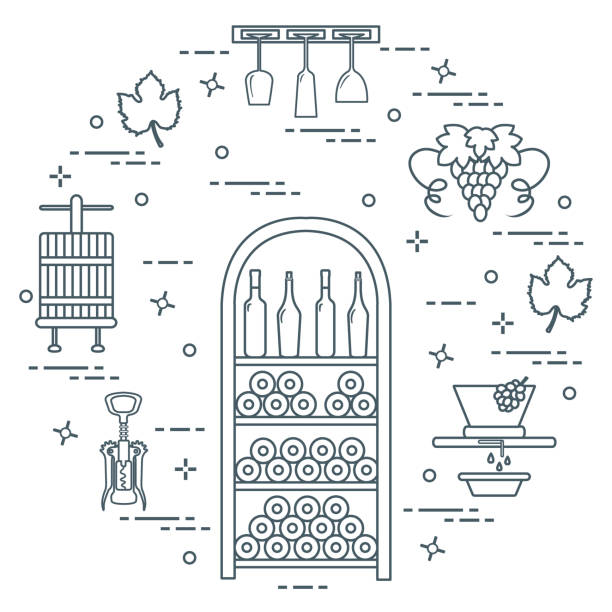 winiarstwo: produkcja i przechowywanie wina. kultura picia wina. - wine cellar wine rack rack stock illustrations