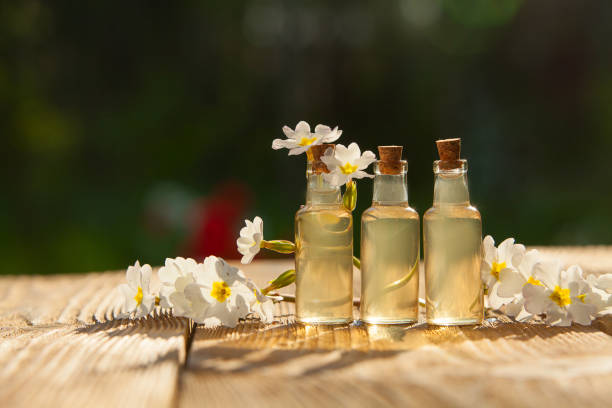 primrose essential oil in  beautiful bottle on table - primrose imagens e fotografias de stock