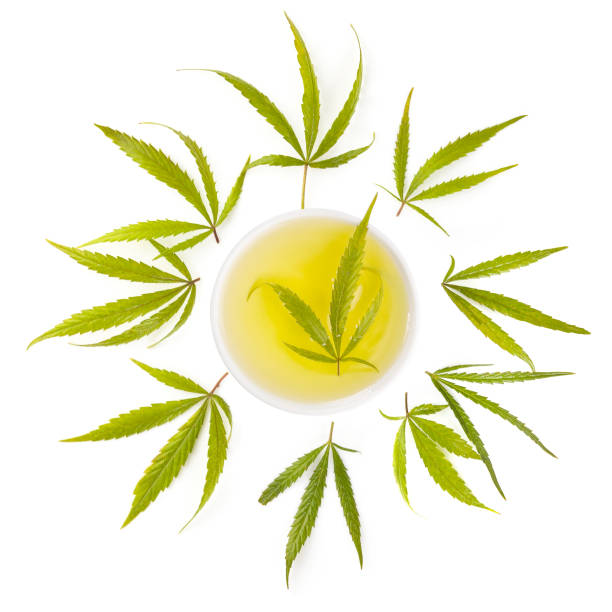 istock Medical marijuana, herbal remedy. 1149200555