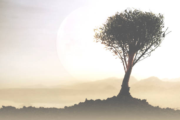 istock surreal landscape with a tree illuminated by a giant moon 1149201110
