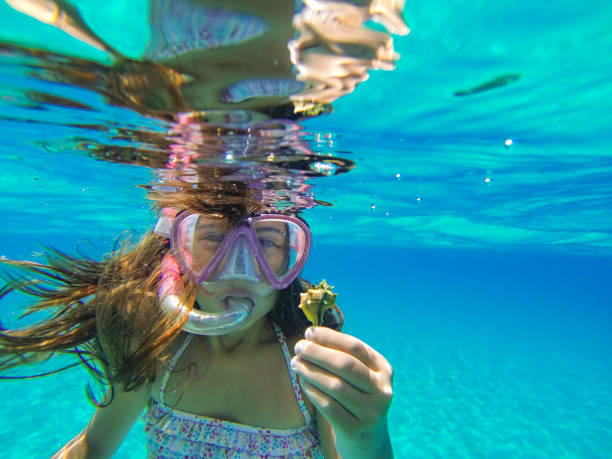 süßes mädchen unter dem meer mit einem muschel - sea swimming greece women stock-fotos und bilder