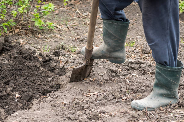 istock an old farmer with a shovel in his hand 1149204701
