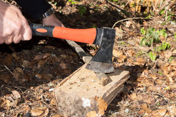 istock Close-up Man's Arms Cut Wooden Stick With An Ax 1149205929