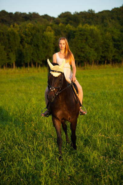 istock Active young woman ride a horse in nature 1149206277