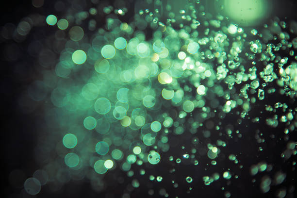 istock bokeh of water fly and lights on black background, 1149207752