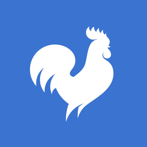 ilustraciones, imágenes clip art, dibujos animados e iconos de stock de silueta de gallo. plantilla de logotipo de vector plano moderno o icono de polla - chicken poultry cartoon cockerel