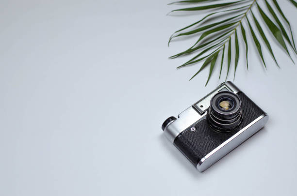 istock Summer tropical flat lay with a camera and a branch of palm trees. 1149210759