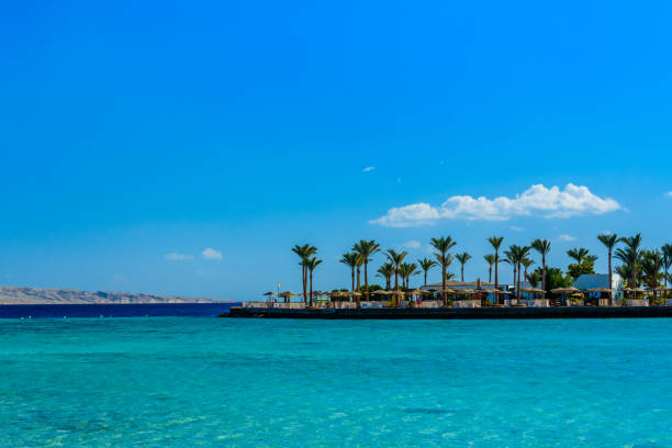 Panoramic view on Red sea. Summer vacation