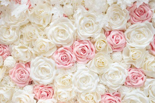 istock Beautiful white and pink roses Background. Rose wall. Artificial roses. 1149216953
