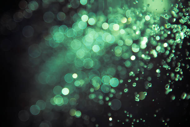 istock bokeh of water fly and lights on black background, 1149222119