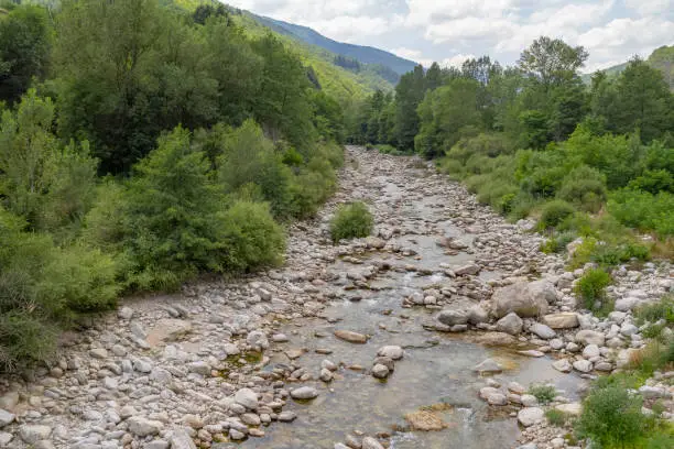 idyllic natural scenery at the Ardeche river in southern France